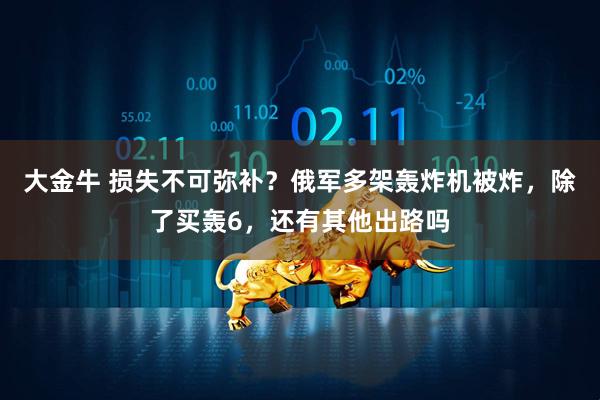 大金牛 损失不可弥补？俄军多架轰炸机被炸，除了买轰6，还有其他出路吗