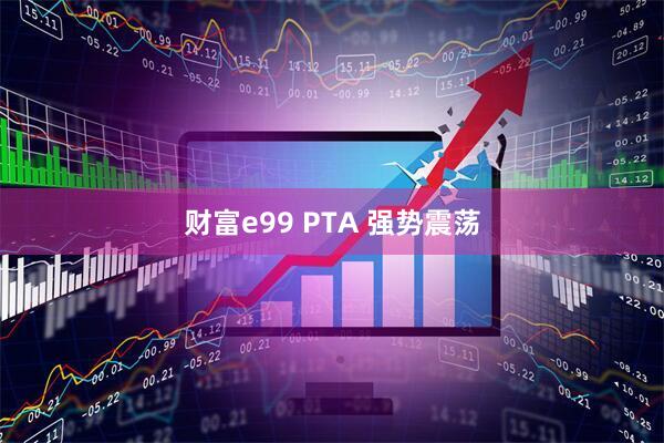 财富e99 PTA 强势震荡