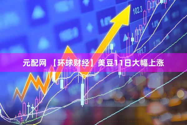 元配网 【环球财经】美豆11日大幅上涨