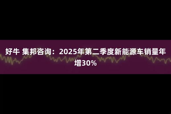 好牛 集邦咨询：2025年第二季度新能源车销量年增30%