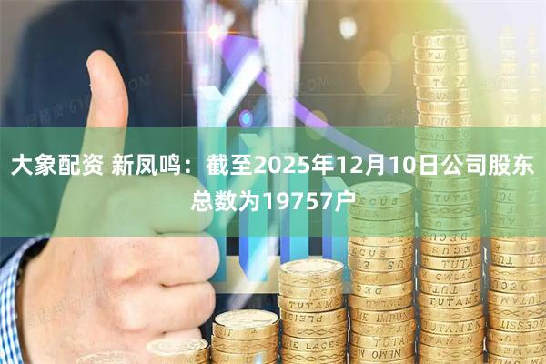 大象配资 新凤鸣：截至2025年12月10日公司股东总数为19757户